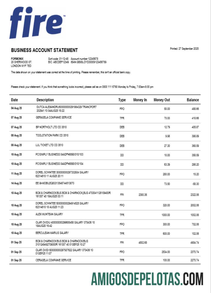Fire Financial Services Limited Enterprise Statement Modelo em formato Word e PDF